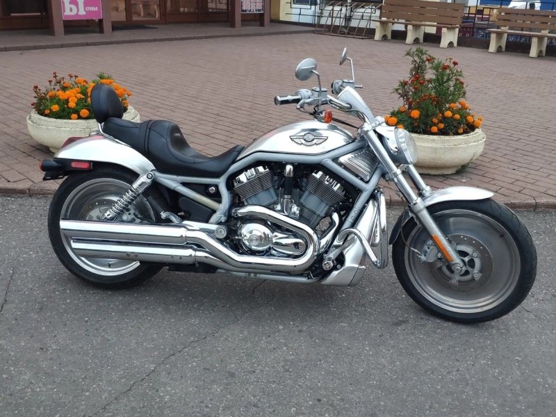 Harley-Davidson V-rod на разборе