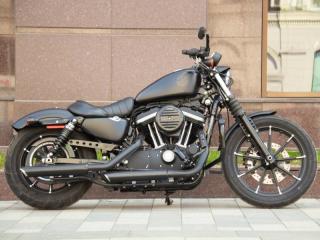 Harley-Davidson XL883 Sportster  на разборе