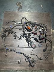 Основная проводка Triumph Tiger 1050 2009 б/у