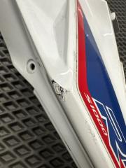 Пластик хвоста Лев. BMW S1000RR — фото 2