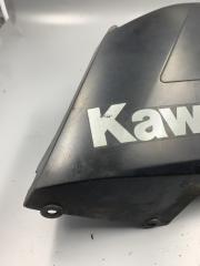 Плуг Лев. Kawasaki ER6 2012-2016 — фото 2