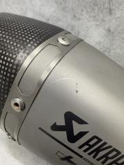 Глушитель Akrapovic BMW S1000R 2016 — фото 2